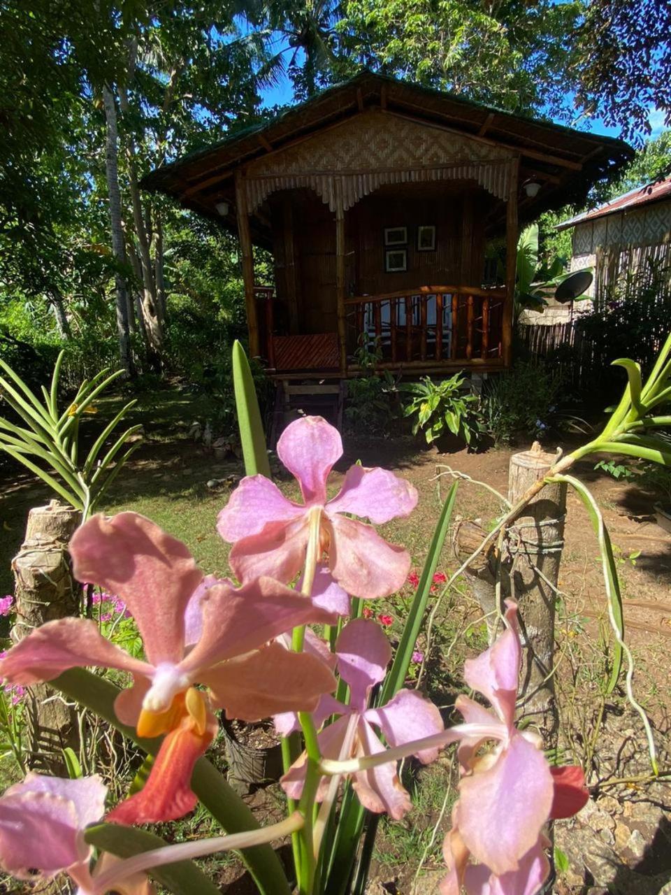 Appartamento Casa De Corazon Anda  Esterno foto